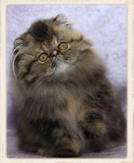 Every Kiss Begins With Kay